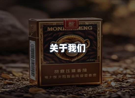 专业团队